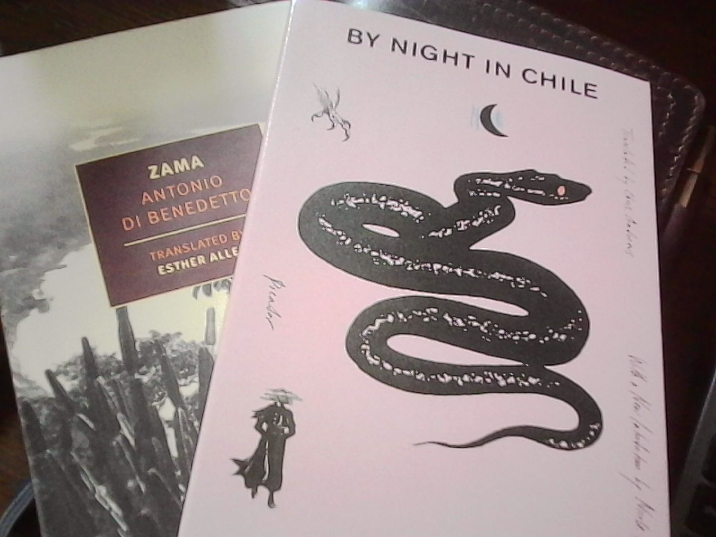 By Night In Chile by Robert Bolaño and Zama by Antonio Di Benedetto on my desk.