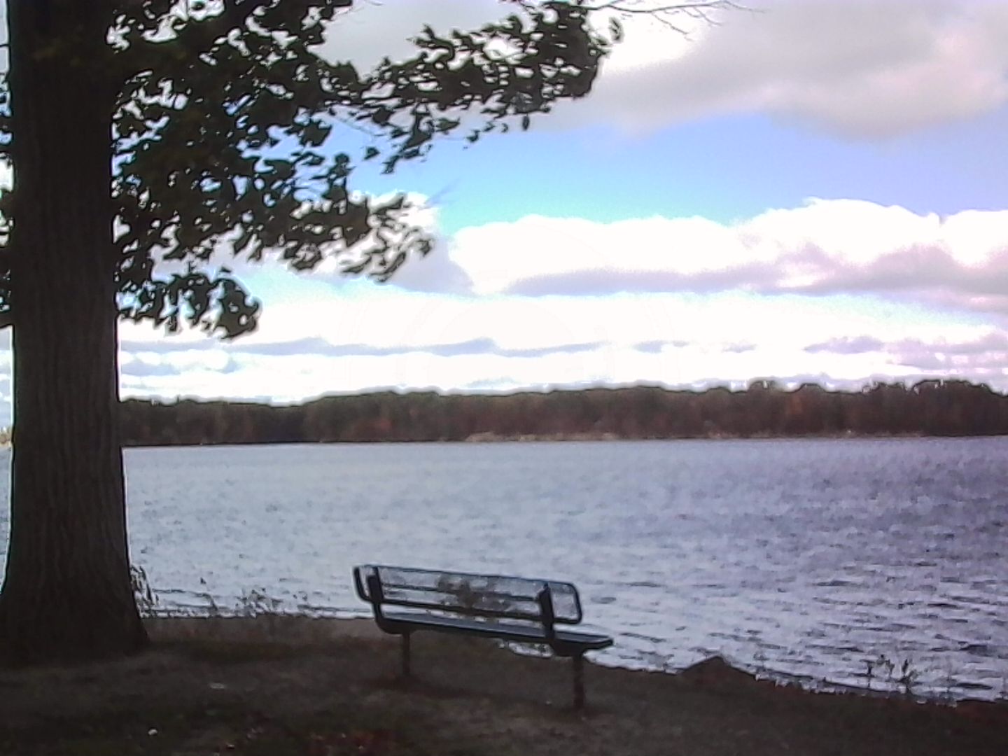 A park bench near the water that provides the best view around.