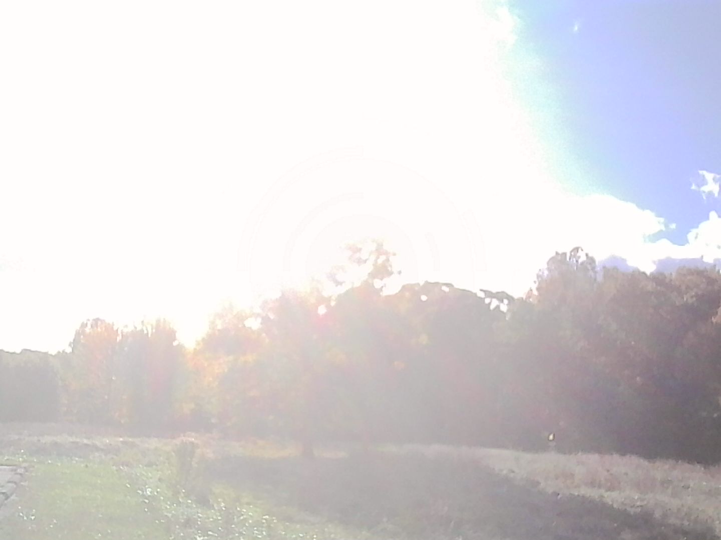 That bleached out effect that too much sun gives at just the right angle over the trees. It still exposes the blue sky and clouds.