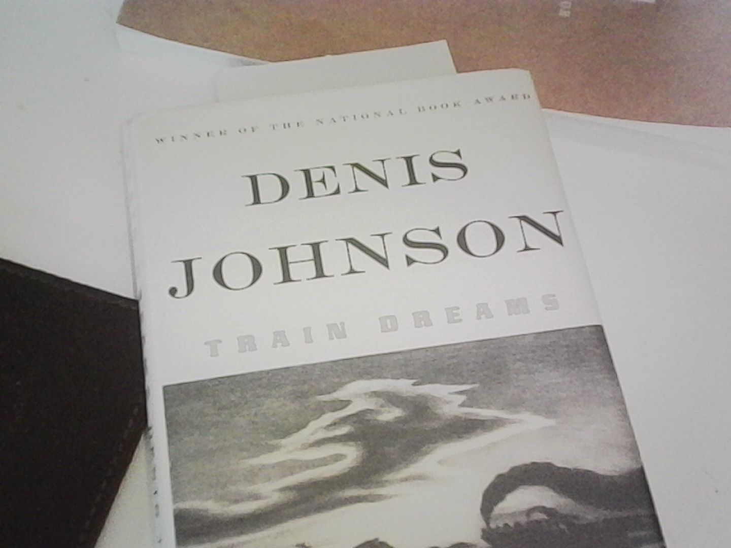 A library copy of Train Dreams by Denis Johnson resting on a table.